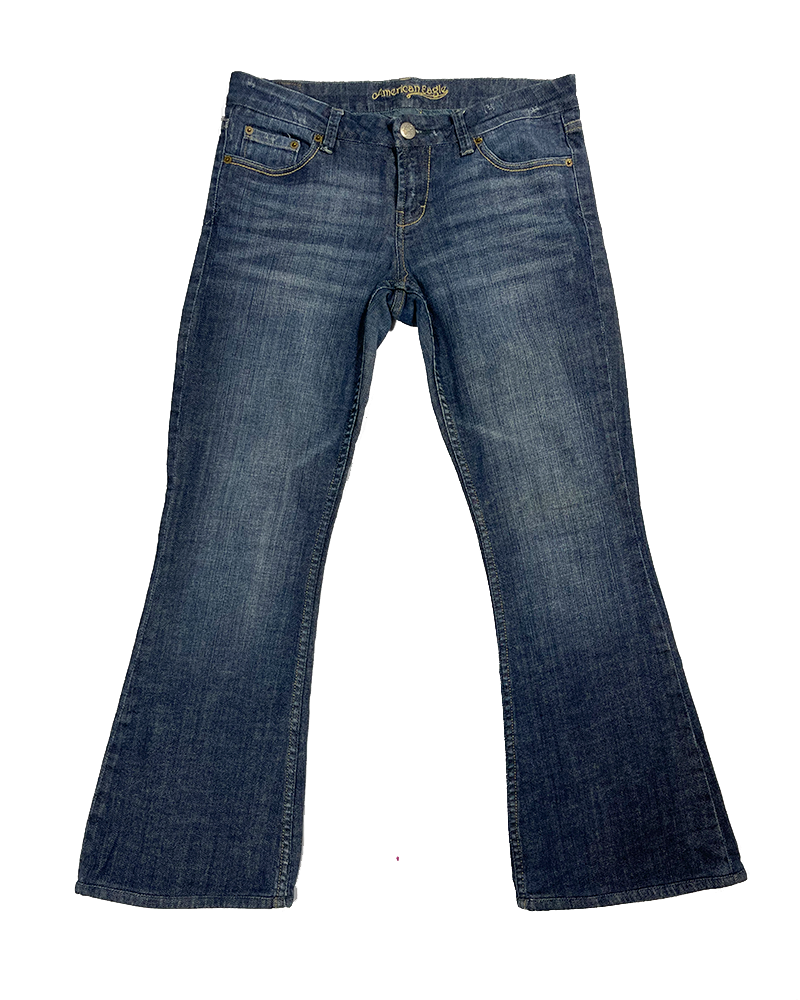 2000s Amarican Eagle Flare Denim Pants – PAKA Vintage Glam